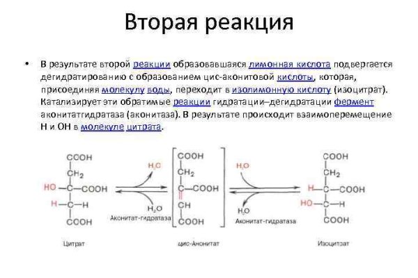Ссылки на кракен маркетплейс