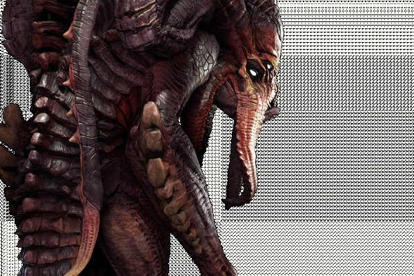 Craken12 at