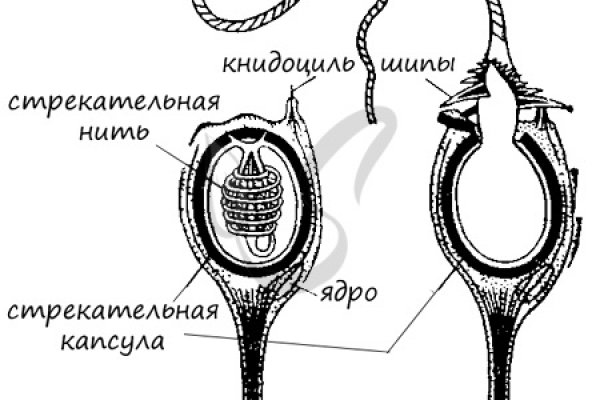 Сайты с наркотой