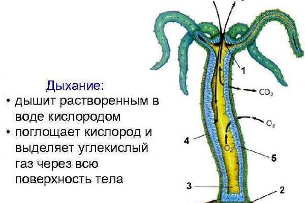 Mega market ссылка