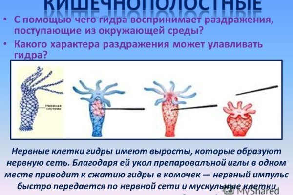 Зайти на кракен тор