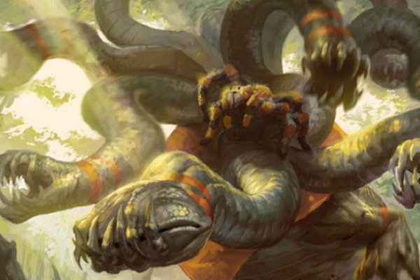 Kraken 19 at