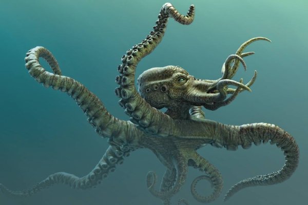 Hydra маркетплейс