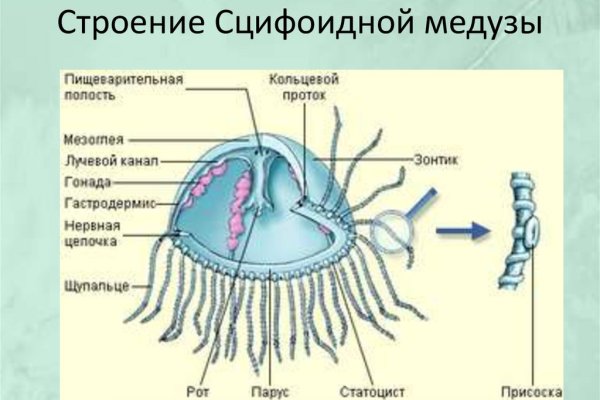 Ссылка на кракен не работает