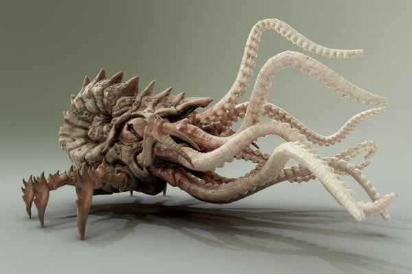Кракен онион kraken dark link