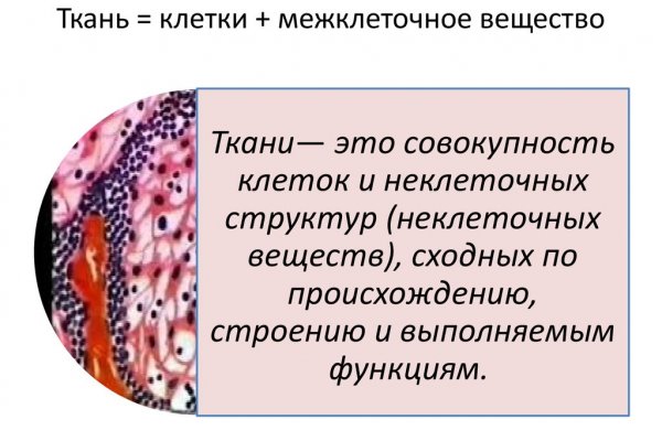 Кракен шоп это