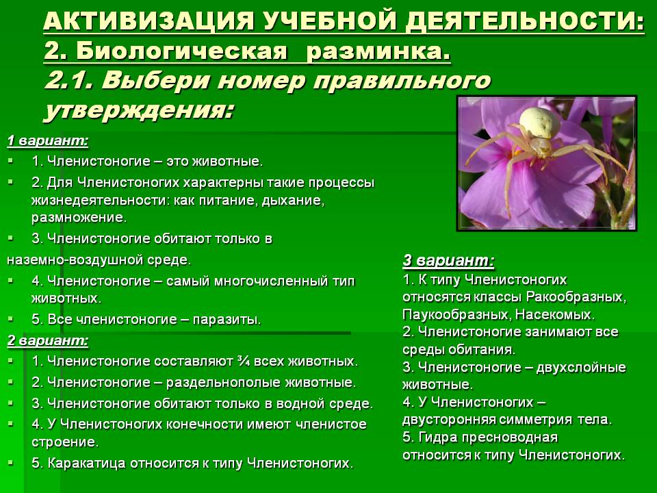 Кракен актуальные