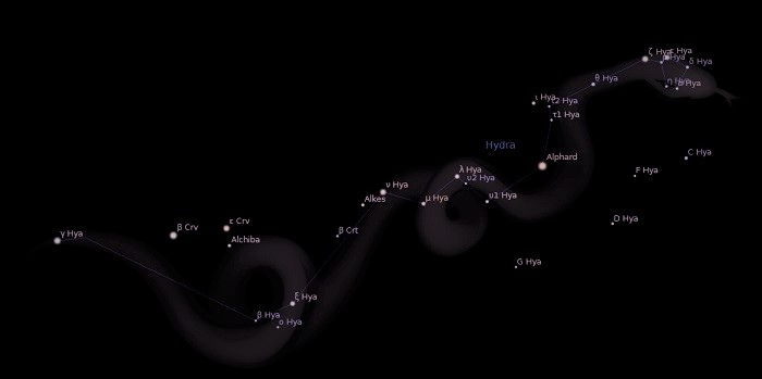 Kraken рынок